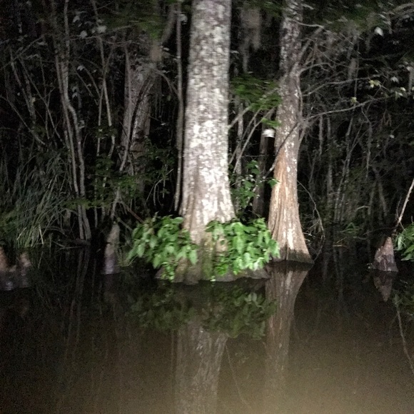 Meet your Posher, Donna - Picture 1 of 1